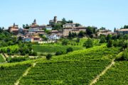 Винный тур на винодельню в Италии (фото 3)